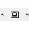 WU-BA(W) USB Wall Plate Insert, White, Single Slot, Colour: White
